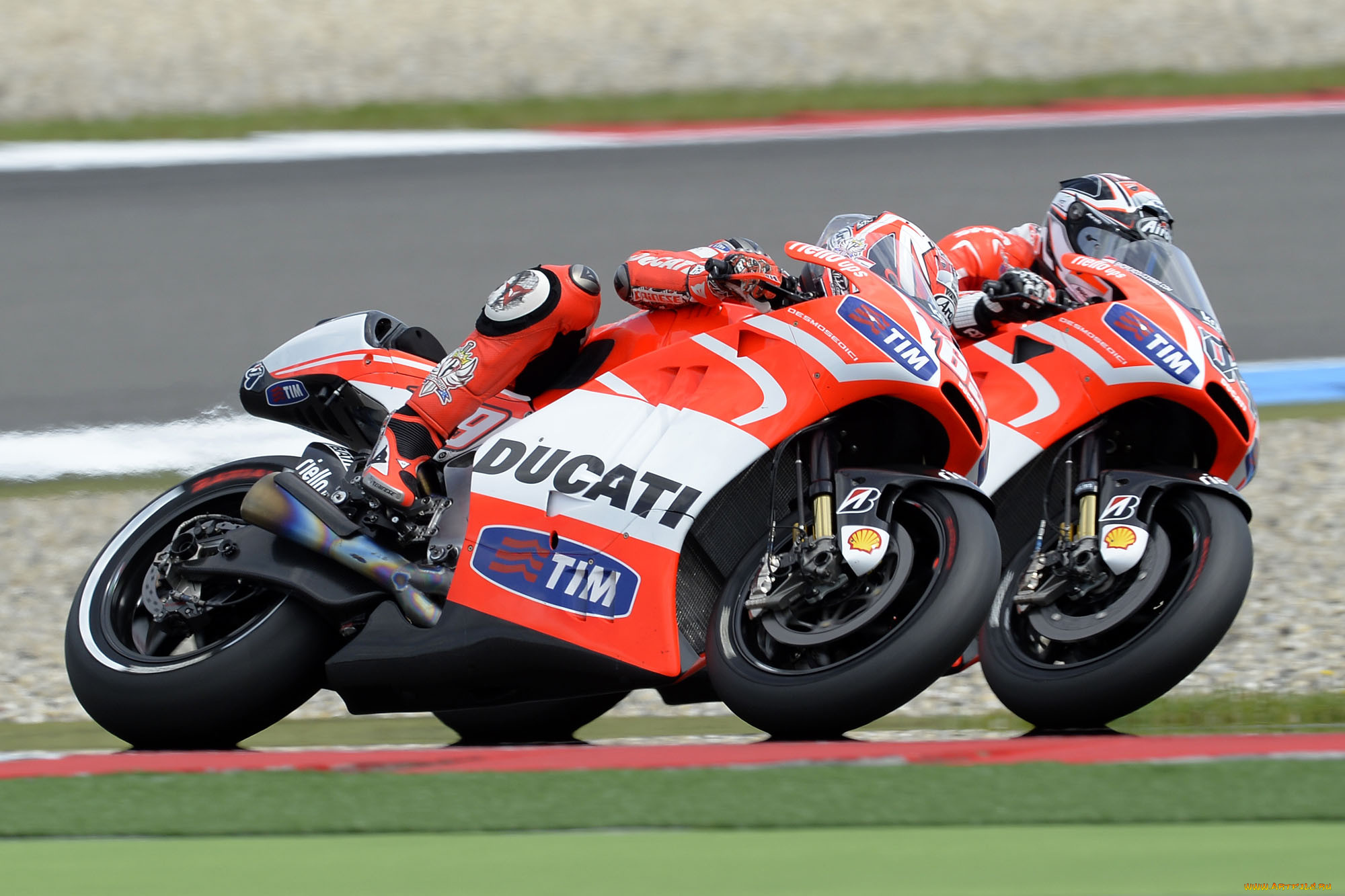 , , 2013, motogp